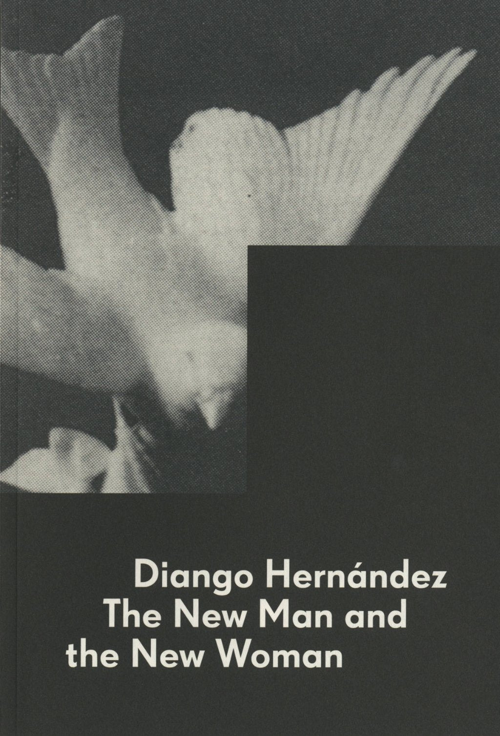 Diango Hernández. The new man and the new woman - Diango Hernandez Studio